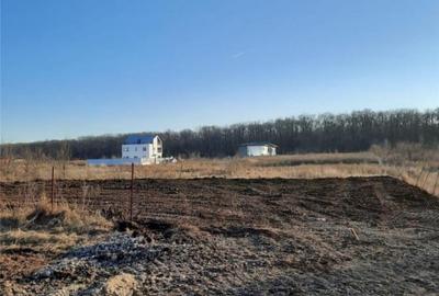 TEREN INTRAVILAN 1.000 MP | BĂNEASA – ALEEA TEIȘANI | 199.000 € - 4