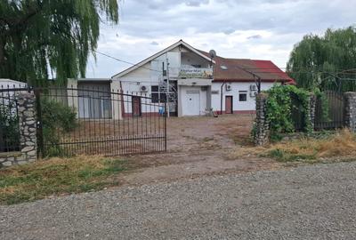 Spațiu industrial, în Coșereni - 17