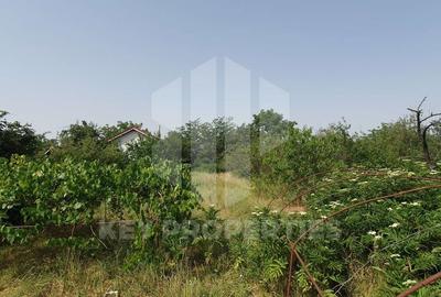 Casă individuală cu 4 camere cu Canalizare în Samurcași - 4