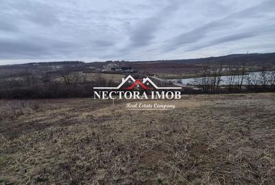 Teren de 589 mp, în Paleu