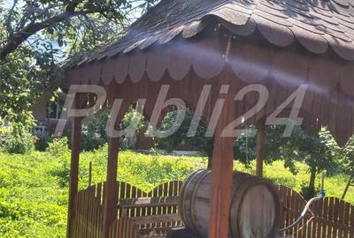 Casă în Mavrodolu - 10
