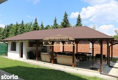 Casă cu 7 camere cu Teren 1779 Mp în Mihai Eminescu - 3