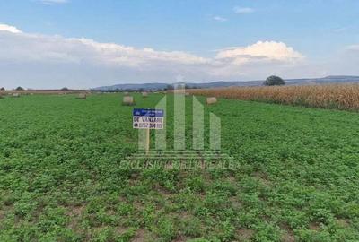 20 de parcele pentru constructii langa soseaua de centura - 1