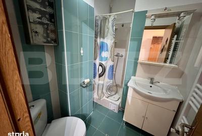 Garsonieră decomandată în Brazda lui Novac - 5