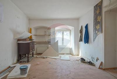 CASA CU POTENTIAL DE EXPLOATARE | DIVERSE ACTIVITATI | DE MIJLOC 50 - 4