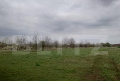 Teren intravilan, 3515 mp, zona Crevedia - 2