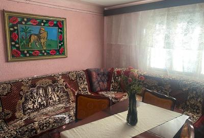 Casa traditionala cu teren generos la tara - Gorj, Șomanesti - 9