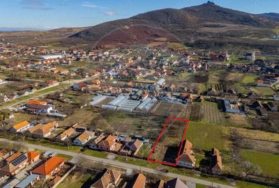 Teren de 1295 mp, în Șiria - 1