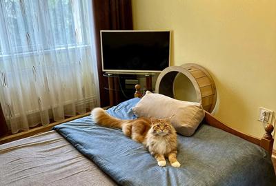 Apartament cu 3 camere decomandat în Șagului - 5