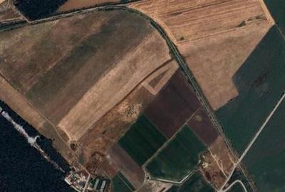 Teren de vanzare cu Puz aprobat - 210 000 mp - Mogosoaia - 4