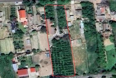 Casă cu 5 camere în Făclia - 2