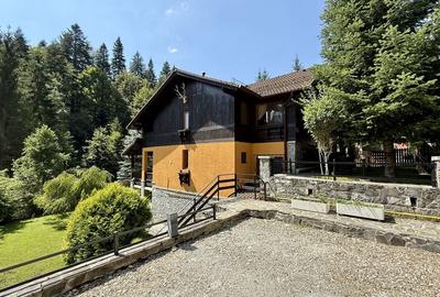 Vila de exceptie in Sinaia, mobilata, utilata, cu vedere superba - 1