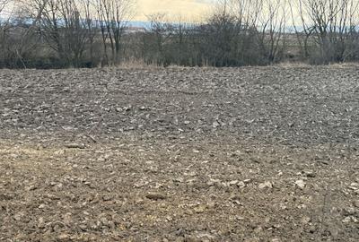 Teren agricol extravilan de 3618 mp, în Periferie - 14