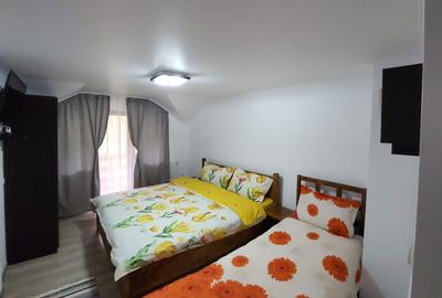 Casă cu 4 camere în Lepșa - 7