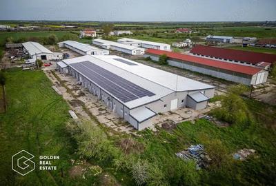 Hala industriala, Pecica, jude?ul Arad