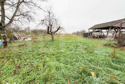 Casă cu 3 camere cu Teren 1900 Mp în Doba - 1