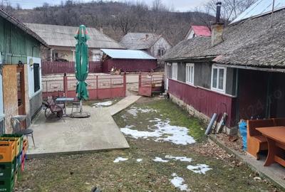 Vand casa in soveja - 2