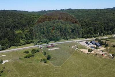 Teren 5,561mp Paltinoasa / Strada principala - 2