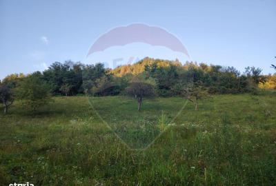 Spațiu comercial, în Bârsana - 1