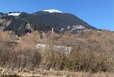Teren de 2782 mp, în Roșu - 3