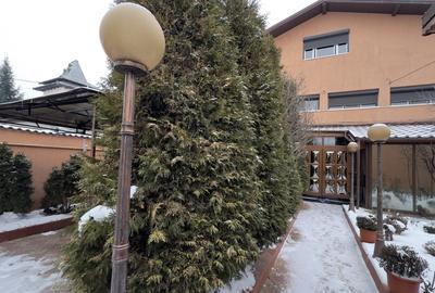 Voluntari, strada linistita pentru o familie care cauta siguranta! - 20