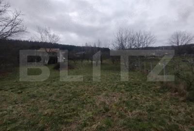 Teren intravilan, 1700 mp, utilitati, zona Dealu Jelnei - 3