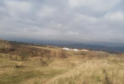 Teren de 22300 mp, în Central - 8