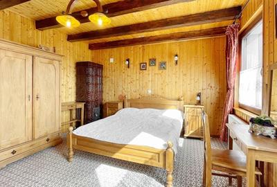 Complex de 3 case pe 18000 mp teren - 20