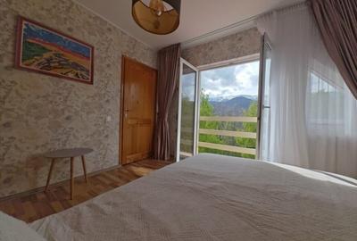 PESTERA CASA DE VANZARE - MOECIU! - 20