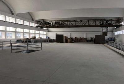 Spa?ii de Inchiriat pentru Depozitare, Produc?ie, Parcare rulote Jilava, DN5 Spa?ii de Inchiriat pentru Depozitare, Produc?ie, Parcare rulote Jilava, DN5 - 3