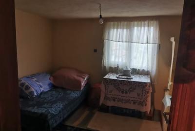 Casă individuală cu 4 camere cu Teren 7000 Mp în Argetoaia - 9