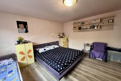 Casă individuală cu 2 camere cu Canalizare în Bd. Laminorului - 10