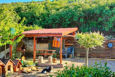 Casă cu 4 camere cu Teren 350 Mp în Baciu - 3