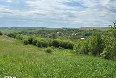 Teren de 4500 mp, în Tureni - 2