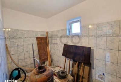 Casă cu 3 camere cu Teren 2230 Mp în Saca - 12