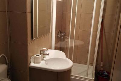 Ofer spre inchiriere garsoniera in Panduri - 1