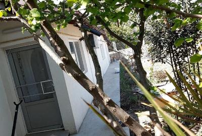 Casă cu Teren 275 Mp în Central - 3