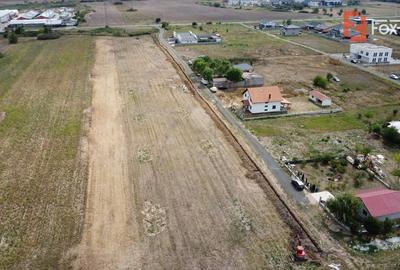 Comision 0% Parcela teren Mosita - Toate utilitatile + Asfalt - 6