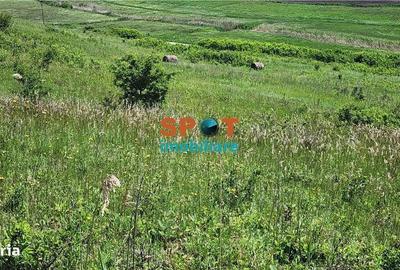 Spațiu comercial, în Vișea - 2