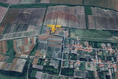 Teren 1,300mp Paru / Soseaua Principala - 1