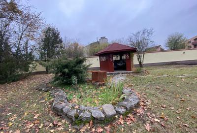 Great villa in Iancu Nicolae on 2200 sq.m land with pool - 3