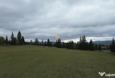 Teren de 16813 mp, în Fundu Moldovei - 1