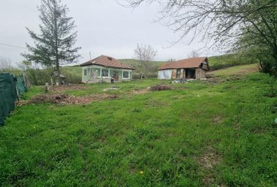 Casă cu 2 camere în Goiești - 8