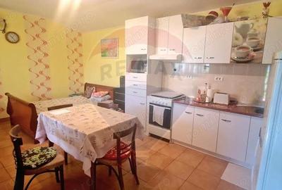 Investitie livada cu 116 pomi fructiferi in Comuna Livada - 11