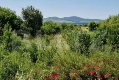 Teren de 7000 mp, în Central - 2