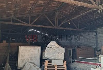 Depozit și hală industrială de vânzare – Orțișoara, complex industrial Avicola - 11