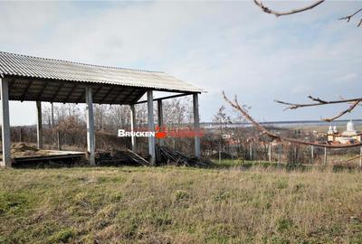 MICRO-FERMA CASA IN VOIVOZI - BIHOR - 5