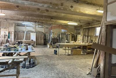 Spațiu comercial, de 445 mp, în Izvoare (Dumbrava Roșie) - 3