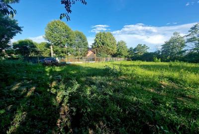 Teren 1,749mp Piatra-Neamt / Strada Zambilelor - 9