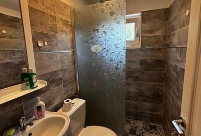 Casa P+E+M Mihaesti-Munteni --  Mihaesti, Valcea - 50